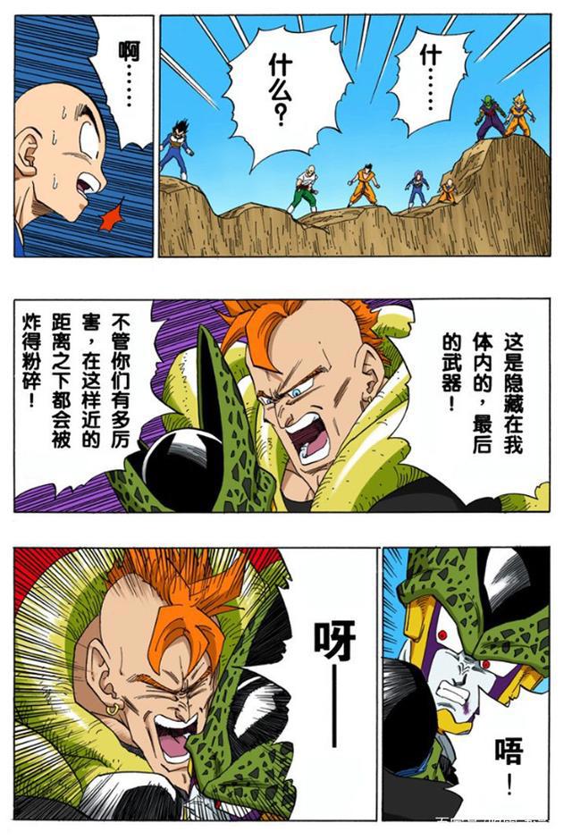 《龙珠》人造人结局梳理：18号变人妻，沙鲁三形态成完美人柱力