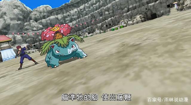 精灵宝可梦：忍者村的乱斗，小智的呱头蛙进化了