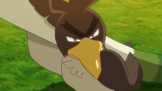 精灵宝可梦旅途：六神归位，小智终于收服第六只宝可梦