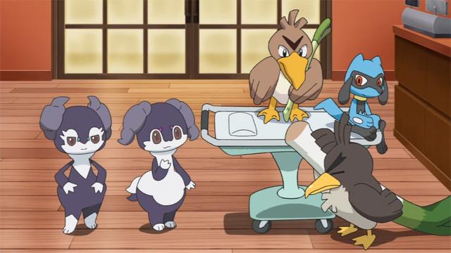 精灵宝可梦旅途：六神归位，小智终于收服第六只宝可梦