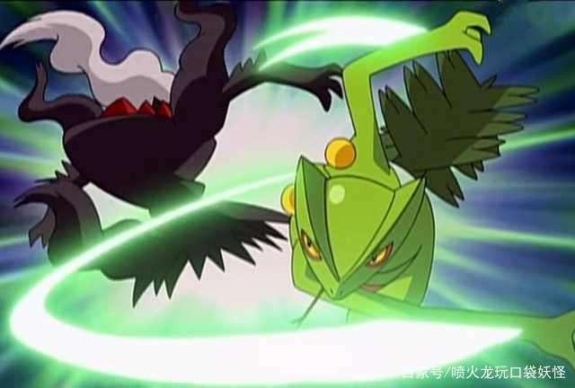 精灵宝可梦里大家常谈的几个“名场面”，其中忍蛙的战败真的可惜