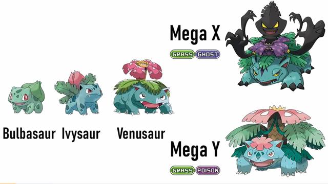 网友自制宝可梦XY进化，妙蛙种子有两种属性，大嘴雀是火焰鸟吗？