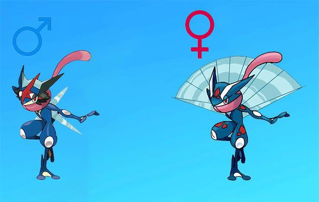 精灵宝可梦：突出宝可梦性别特征后，你更喜欢哪个性别的宝可梦？