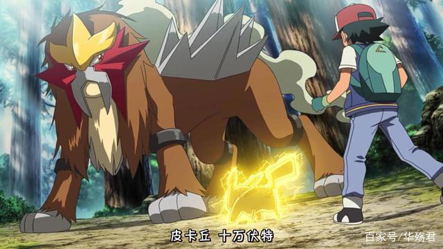 精灵宝可梦：宝可梦中的偶像？除了皮卡丘，还有它们是官方钦定