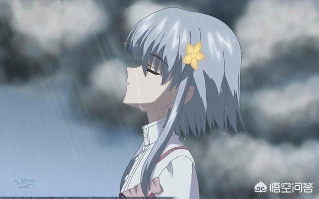 这几部冷门经典动漫你们都看过？全看过算我输