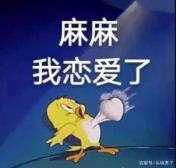 数码宝贝的主角名字为什么不一样