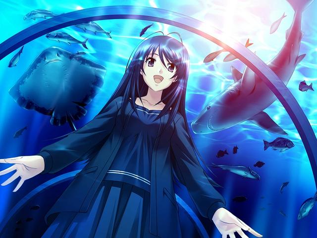 动画浅谈｜冷门神作《myself；yourself》