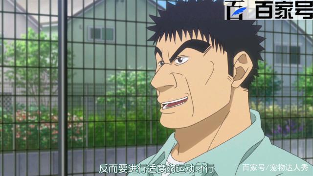 网球优等生：热血竞技动漫图集赏析