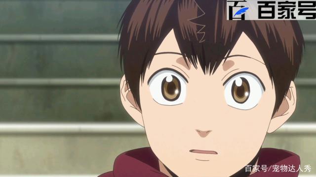 网球优等生：每日更新经典日本动漫美图分享