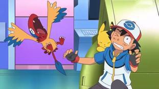 精灵宝可梦：自给自足的鸟类祖宗，生下来却不会飞翔