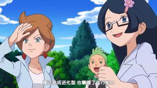 精灵宝可梦：自给自足的鸟类祖宗，生下来却不会飞翔