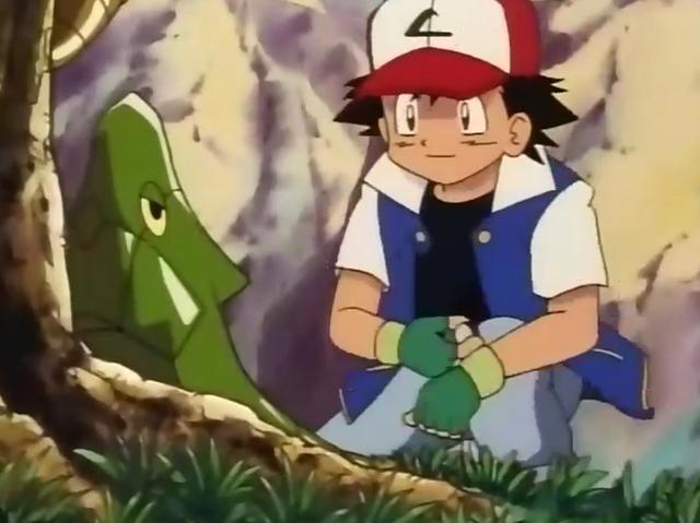 精灵宝可梦：小智的巴大蝴，从绿毛虫开始，就历经沧桑