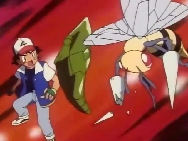 精灵宝可梦：小智的巴大蝴，从绿毛虫开始，就历经沧桑