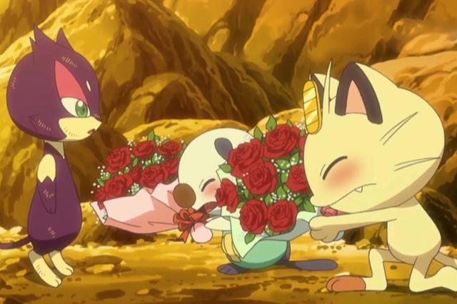 神奇宝贝们惯用的抢食物方式，扒手猫、导电飞鼠都不如熊宝宝