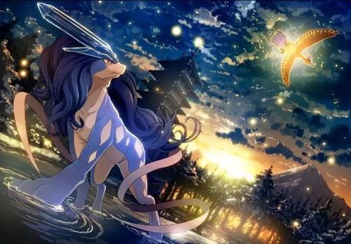 精灵宝可梦：可可，原创商品活动，集齐面包不等于集齐七龙珠