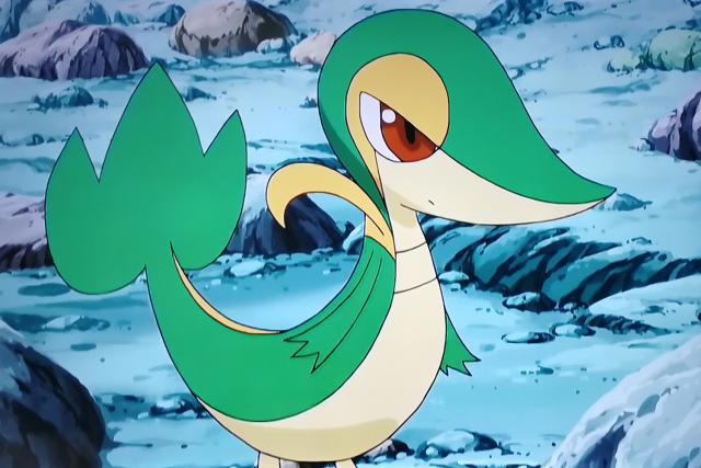 精灵宝可梦：继第一、二代之后，小智终于集齐了第五代御三家