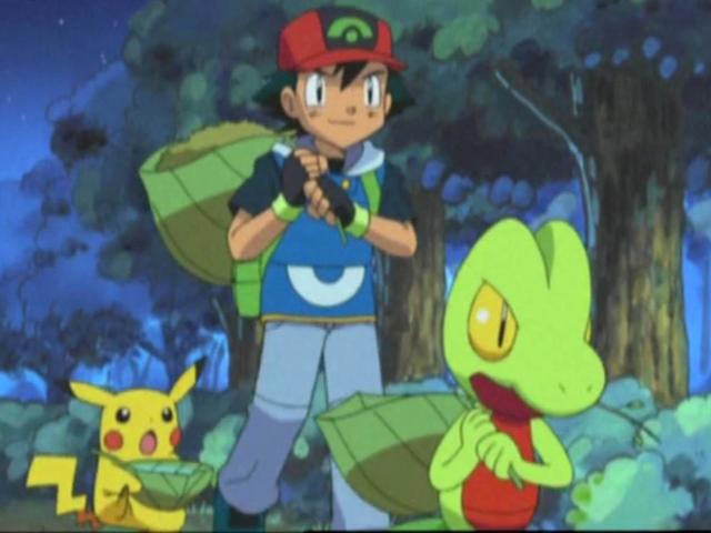 精灵宝可梦：看到小智的木守宫，想到了索隆和杀生丸，你有同感吗