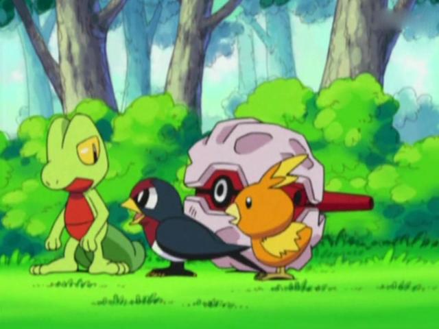 精灵宝可梦：看到小智的木守宫，想到了索隆和杀生丸，你有同感吗