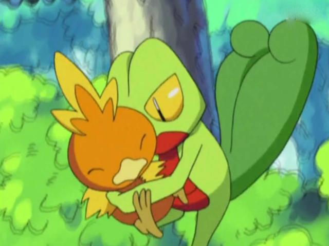 精灵宝可梦：看到小智的木守宫，想到了索隆和杀生丸，你有同感吗