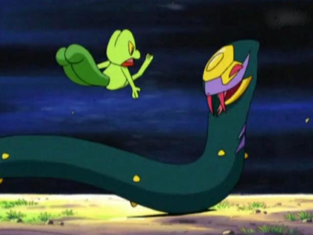 精灵宝可梦：看到小智的木守宫，想到了索隆和杀生丸，你有同感吗