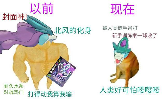 宝可梦：北风的化身就是个笑话，小豪随手收服水君，心疼历代反派