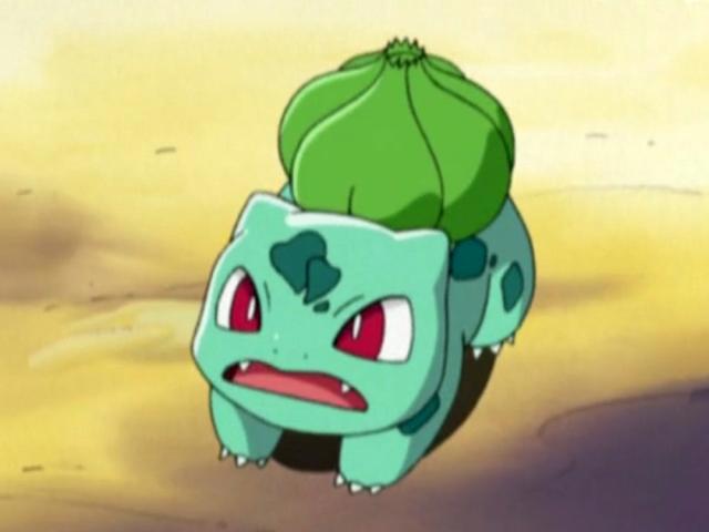 精灵宝可梦：在追梦的道路上，小遥就是第二个小智