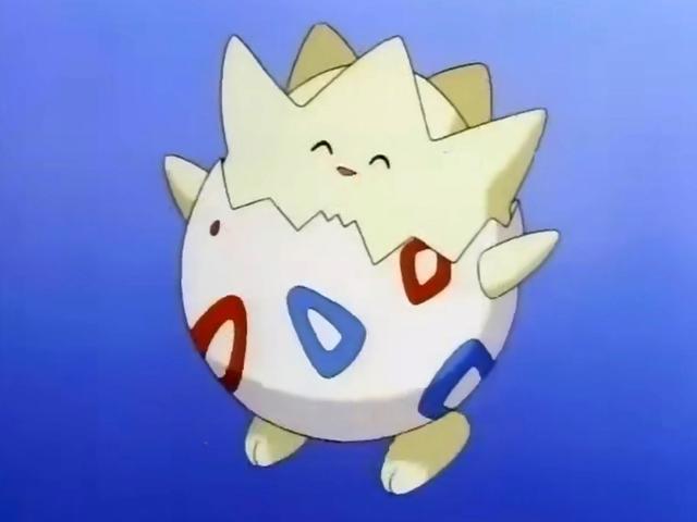 《宝可梦》动画第一颗精灵蛋：备受呵护的波克比，小霞捡了大便宜