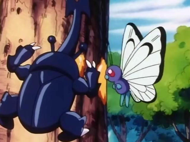 小智收服的第40只宝可梦：赫拉克罗斯