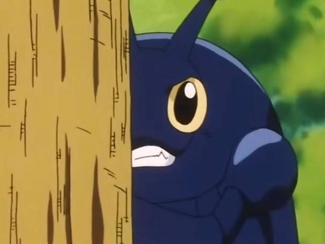 小智收服的第40只宝可梦：赫拉克罗斯