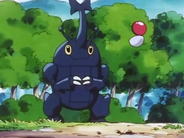 小智收服的第40只宝可梦：赫拉克罗斯