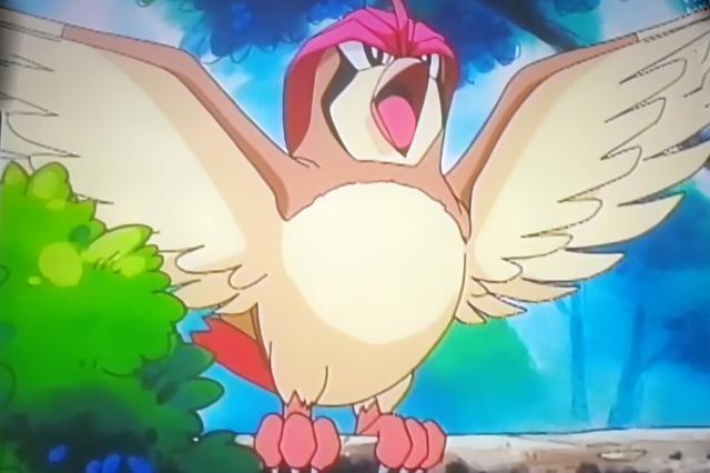 精灵宝可梦：小智必有的一类神奇宝贝，只有看过动画的才知道