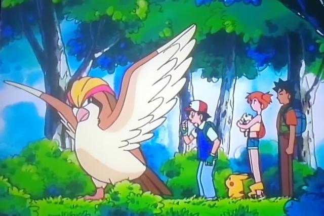 精灵宝可梦：小智必有的一类神奇宝贝，只有看过动画的才知道