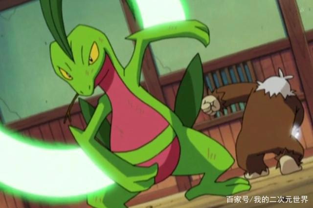 精灵宝可梦：小智在每个地区的“王牌”神奇宝贝，火系占尽风头