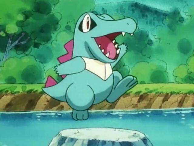 《精灵宝可梦》前三代“御三家”及其进化形态，你最喜欢哪一只？