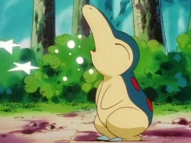 《精灵宝可梦》前三代“御三家”及其进化形态，你最喜欢哪一只？