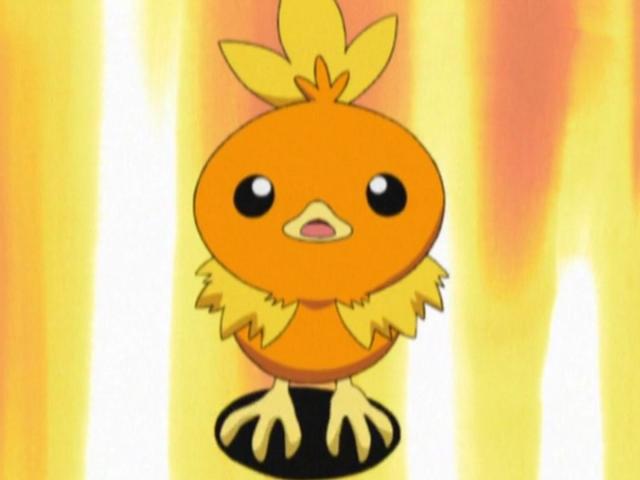 《精灵宝可梦》前三代“御三家”及其进化形态，你最喜欢哪一只？