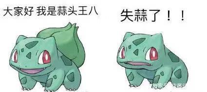 神奇宝贝的观看顺序你知道吗？学会正确的观看姿势，使你不再疑惑