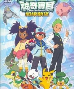 神奇宝贝的观看顺序你知道吗？学会正确的观看姿势，使你不再疑惑