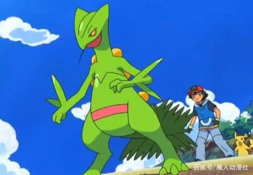宝可梦：小智六个世代的王牌分别是谁？喷火龙卡比兽无压力上榜！