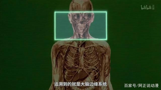 评分8.7！这部96年的作品，可以说是后世医疗类动漫的祖师爷