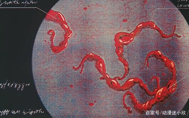 《怪医黑杰克》：女星为了保持身材，需要经历的痛苦难以想象