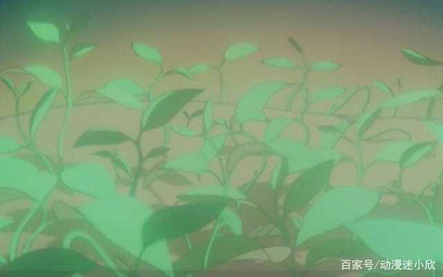 《怪医黑杰克》：男孩身上长满植物，操控人的躯体，原因令人深思