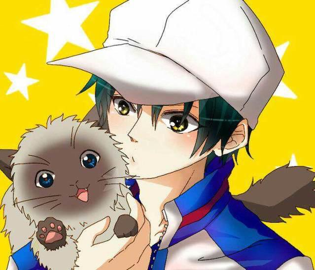 《网球王子》第一部