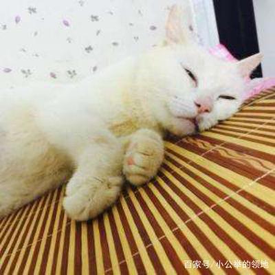 动漫世界里这些奇奇怪怪的设定太危险！《死亡笔记》已经吓到我！