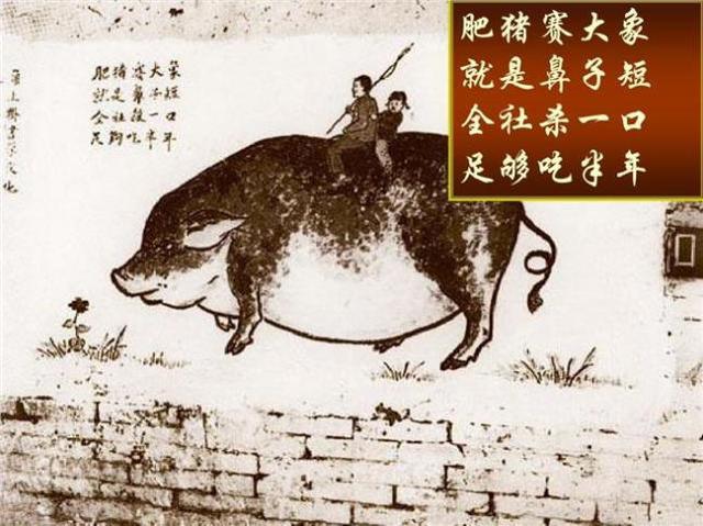 动画、漫画以及卡通，三者之间有何区别？