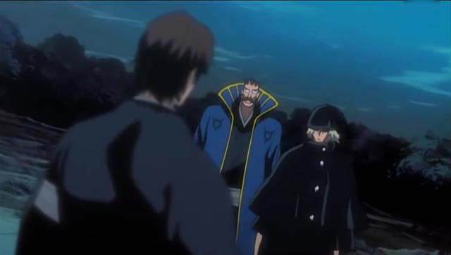 死神：夜一当初逃跑为什么不带走碎蜂呢？仅仅是因为忘记她吗？