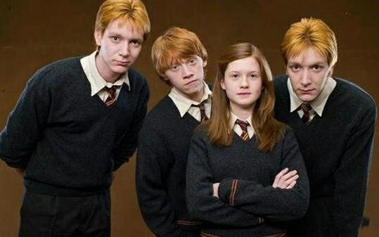 哈利波特：韦斯莱家穷仅仅是因为孩子多吗