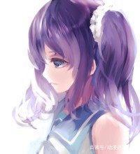 水中的你，地上的我，因为缘，走在了一起——来自风平浪静的明天