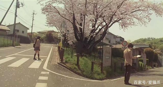 漫天飞舞的樱花！二次元最美的樱花都在这了！