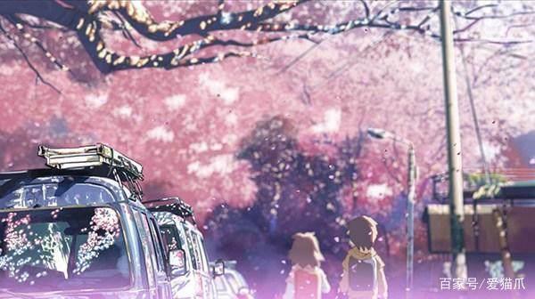 漫天飞舞的樱花！二次元最美的樱花都在这了！